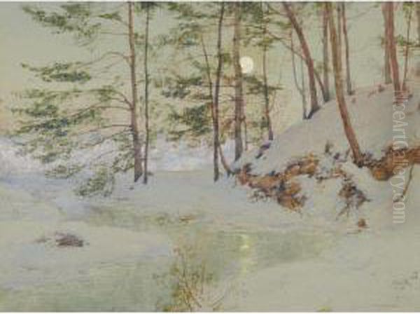 Moonlit Winter Night - view 1