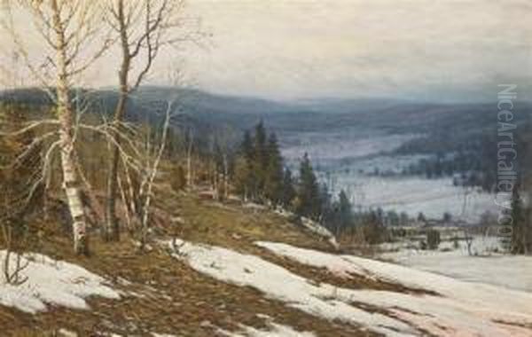 Melting Snow - view 1