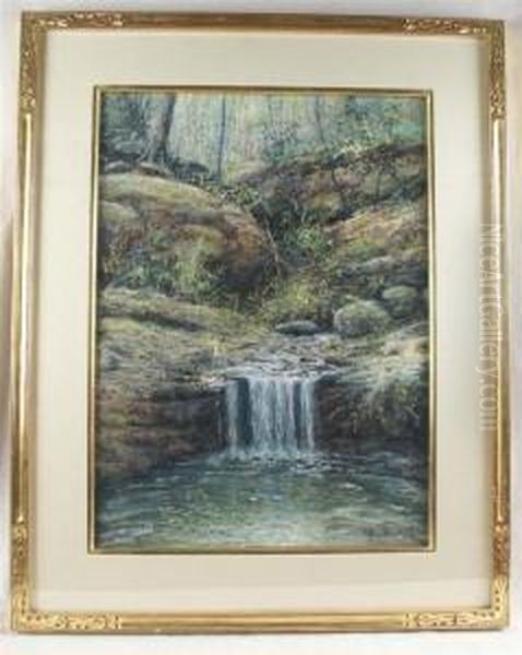 Forest Stream With Waterfall - view 1