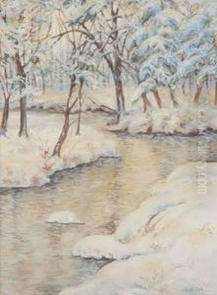 Winter Stream With Pine Trees - view 1