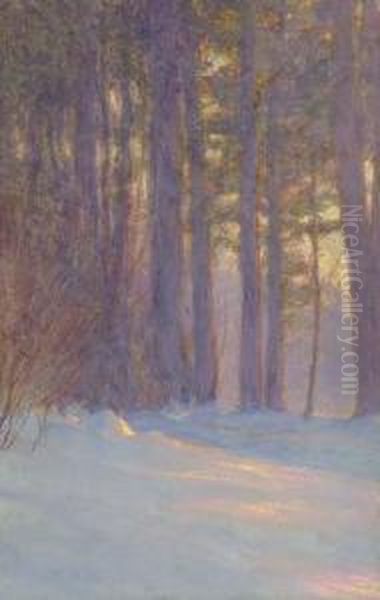 Woods In Snow At Dusk - view 1