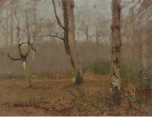 Landscape With Birches