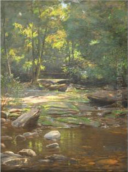 Woodland Stream - view 1