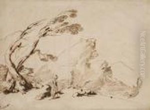 Landscape Landscape