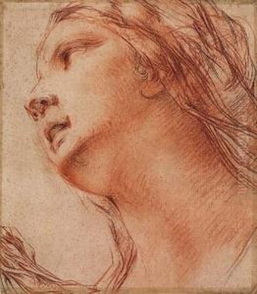 Head Of A Woman Seen From Below - view 1