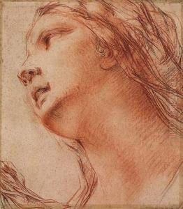Head Of A Woman Seen From Below