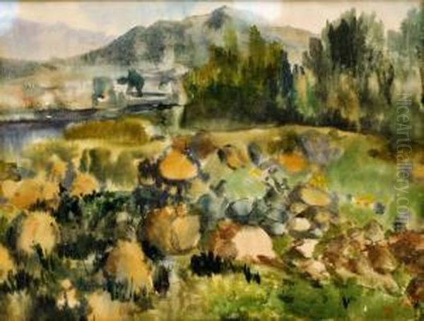 Letna Krajina - view 1