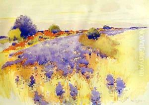 Flowering Field 1895