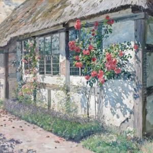 Red And Pink Roses In The Sun By An Old Farmhouse