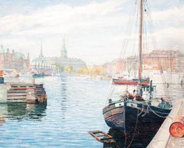 Boats Moored In Copenhagen - view 1