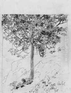 Maronibaum Am Abhang by Bernhard Pankok
