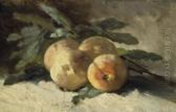 Peches - view 1