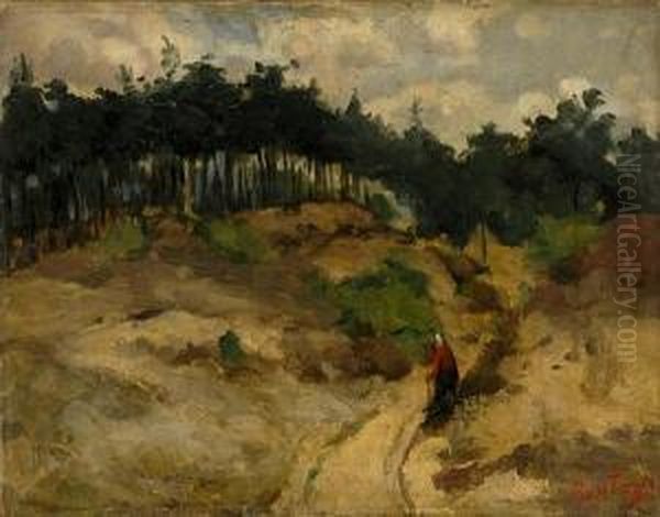 Chemin Dans Les Dunes - view 1