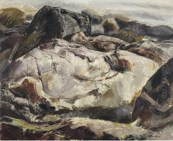 Rocky Shoreline - view 1