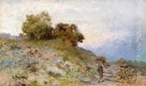 Paesaggio Paesaggio