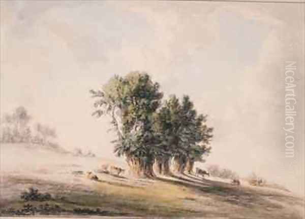Landscape - view 1