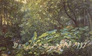 Under the Dock Leaves - An Autumnal Evening's Dream by Richard Doyle