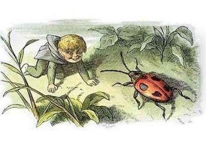 Bo! To a Beetle by Richard Doyle