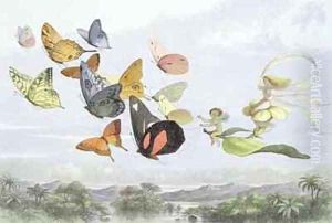 The Fairy Queens carriage by Richard Doyle