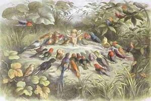 A Rehearsal in Fairy Land by Richard Doyle