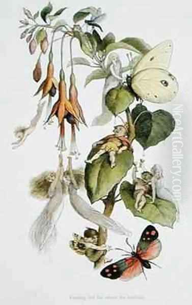Feasting and fun among the fuschias - view 1