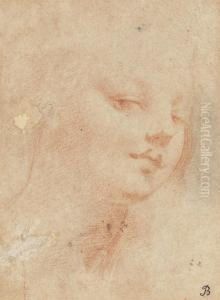 The Head Of A Young Woman