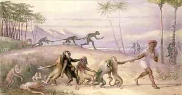 The Manners and Customs of Monkeys - view 1