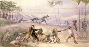 The Manners and Customs of Monkeys by Richard Doyle