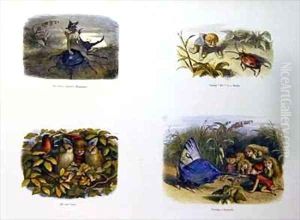 In Fairy Land 3 by Richard Doyle