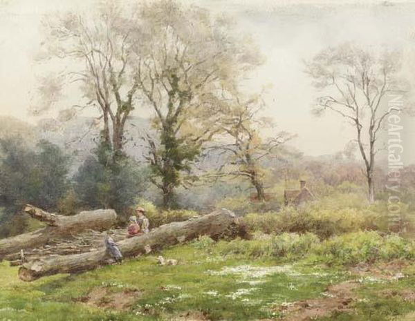 A Moment Of Rest In The Woods - view 1