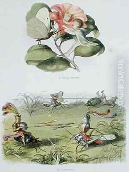 A Dancing Butterfly and The Tournament - view 1