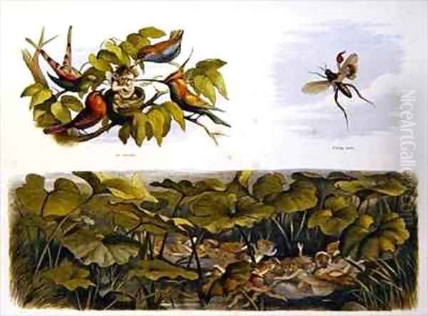 In Fairy Land 5 - view 1