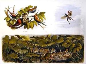 In Fairy Land 5 by Richard Doyle