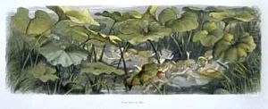 Wood Elves at Play by Richard Doyle