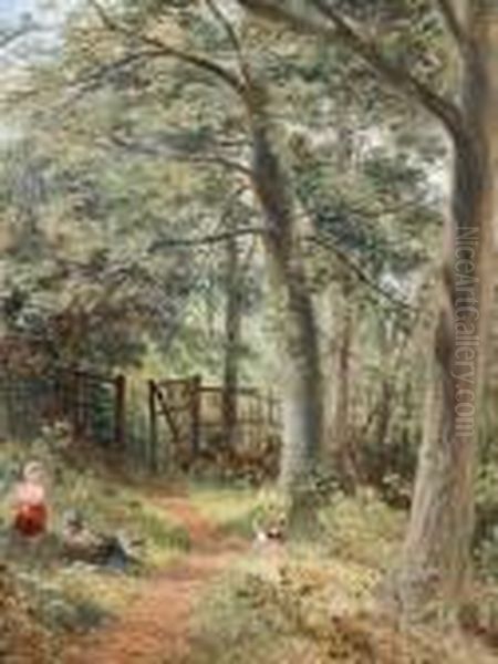 A Summer's Picnic In The Woods - view 1