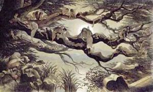 In Fairylan by Richard Doyle