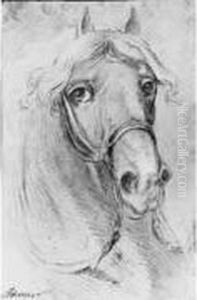 Tete De Cheval
