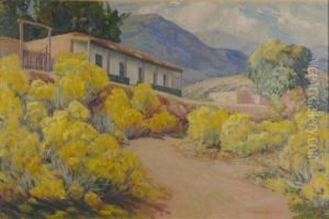Chamisa, Santa Fe