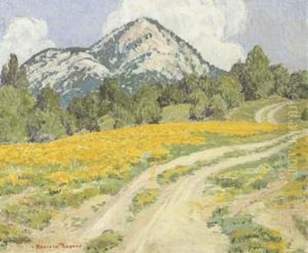 Field Of Yellow - view 1