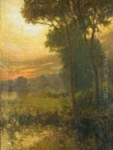 On The Edge Of The Swamp