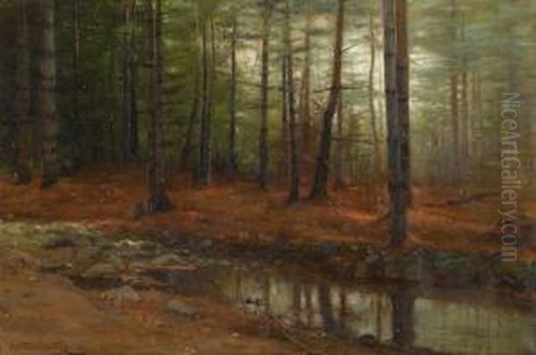 A Woodland Stream At Dusk - view 1