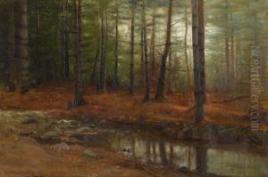 A Woodland Stream At Dusk