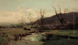 Arkville Meadows