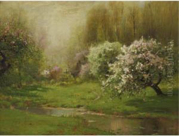Apple Blossoms - view 1