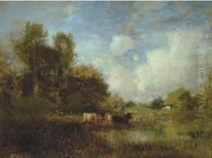 Cows Grazing Near A Stream