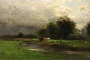 Cows Watering At A Stream