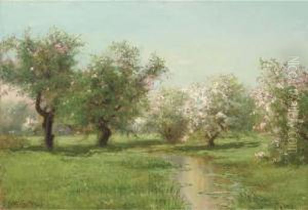 The Orchard In Spring - view 1