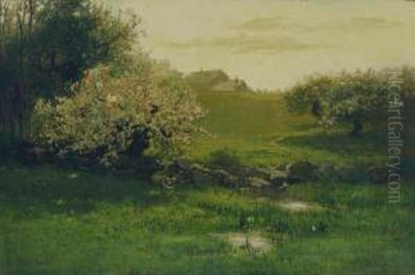 Apple Blossoms - view 1