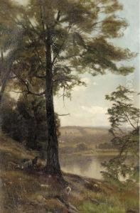 A Hillside Pasture, Pennsylvania