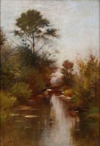 Creek In Autumn